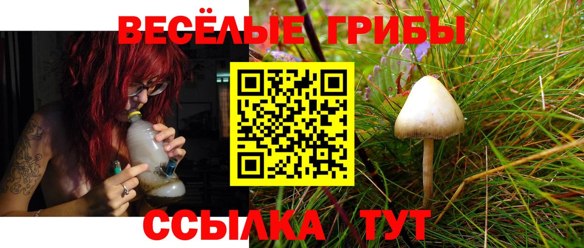 А ПВП Будённовск